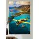 Quadro Decorativo Avi�o Voando 2