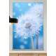 Quadro Decorativo Dente-de-Le�o Com �gua