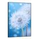 Quadro Decorativo Dente-de-Le�o Com �gua