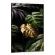 Quadro Decorativo Folhas de Monstera Dourada com Gotas de �gua
