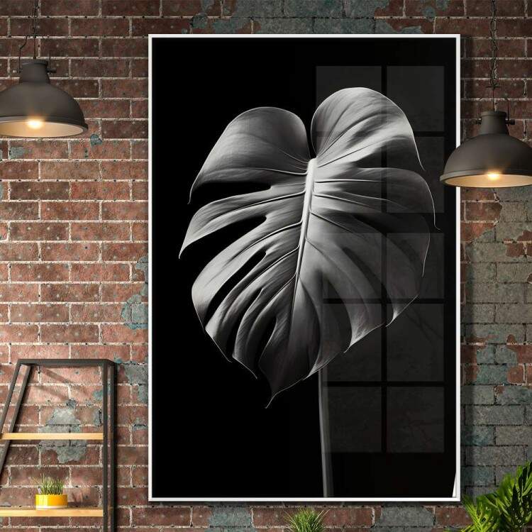 Quadro Decorativo Planta Monstera Preto e Branco Fundo Todo Preto