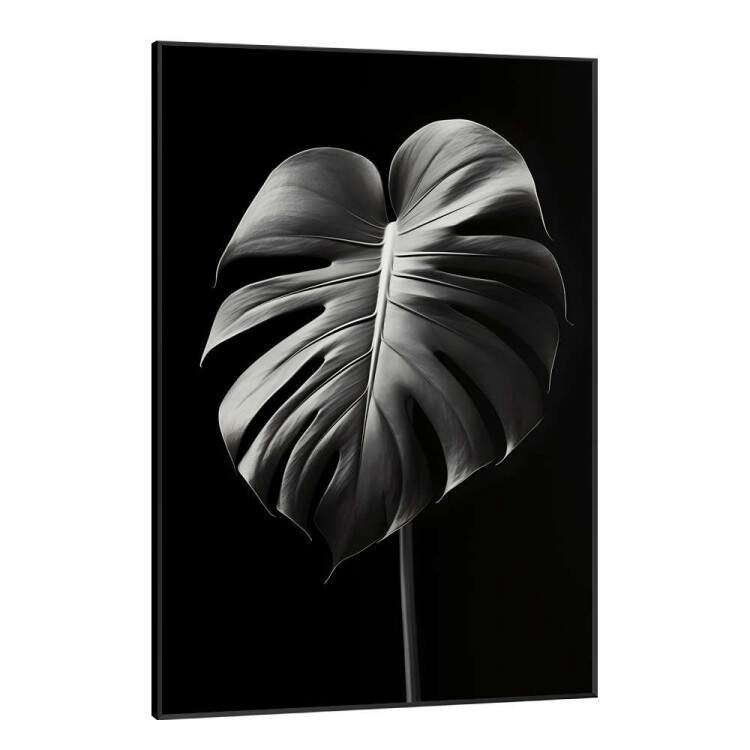 Quadro Decorativo Planta Monstera Preto e Branco Fundo Todo Preto