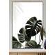Quadro Decorativo Plantas Esverdeadas Fundo Branco