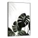 Quadro Decorativo Plantas Esverdeadas Fundo Branco