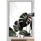Quadro Decorativo Plantas Esverdeadas Fundo Branco