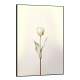 Quadro Decorativo Tulipa com Caule Dourado e Flores Brancas