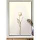 Quadro Decorativo Tulipa com Caule Dourado e Flores Brancas