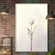 Quadro Decorativo Tulipa com Caule Dourado e Flores Brancas