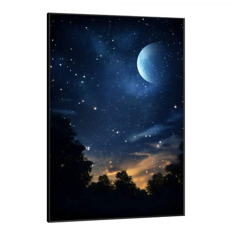 Quadro Decorativo Lua com Cu Estrelado e Florestas