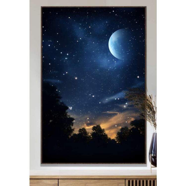Quadro Decorativo Lua com Cu Estrelado e Florestas