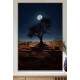 Quadro Decorativo �rvore e Fundo de Lua Cheia