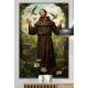 Quadro Decorativo Religioso de S�o Francisco Repleto de Pass�ros
