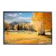 Quadro Decorativo Paisagem De �rvores na Esta��o Primavera