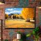 Quadro Decorativo Paisagem De �rvores na Esta��o Primavera