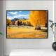 Quadro Decorativo Paisagem De �rvores na Esta��o Primavera
