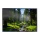 Quadro Decorativo Paisagem Riacho com Pedras no Meio de Floresta