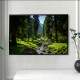 Quadro Decorativo Paisagem Riacho com Pedras no Meio de Floresta