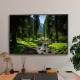 Quadro Decorativo Paisagem Riacho com Pedras no Meio de Floresta