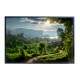 Quadro Decorativo Paisagem Trilha em Floresta com Lindas �rvores