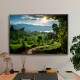 Quadro Decorativo Paisagem Trilha em Floresta com Lindas �rvores