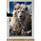 Quadro Decorativo Le�o Branco Transmitindo Paz e Serenidade