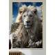 Quadro Decorativo Le�o Branco Transmitindo Paz e Serenidade