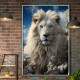 Quadro Decorativo Le�o Branco Transmitindo Paz e Serenidade