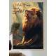Quadro Decorativo Le�o Motivacional Minha For�a Vem do Alto