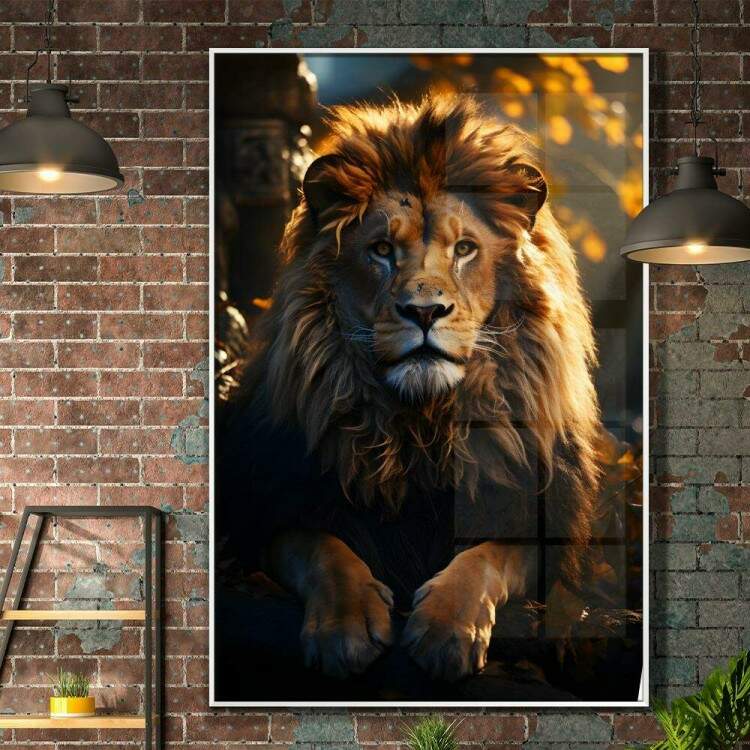 Quadro Decorativo Leo com Olhar Intenso Repousando na Savana