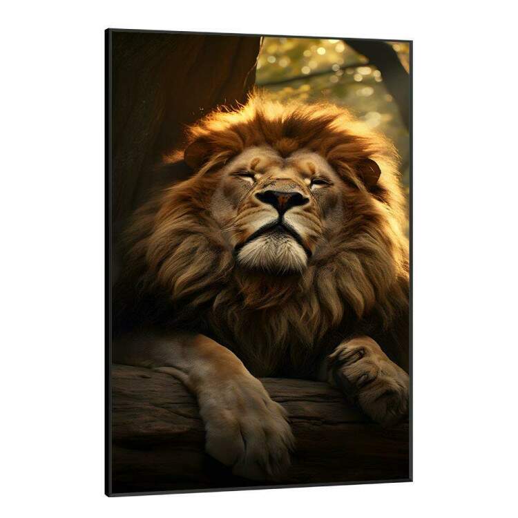 Quadro Decorativo Leo o Rei da Selva em Repouso