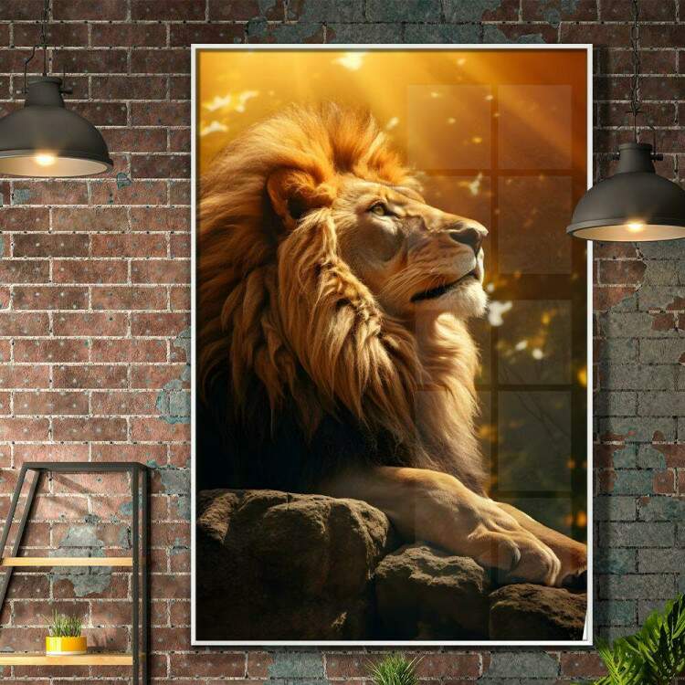 Quadro Decorativo Leo Majestoso Repousando em Pedras Sendo Iluminado Por Luz