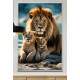 Quadro Decorativo Fam�lia de Le�es Repousando em Rocha com Belo P�r-do-Sol de Fundo