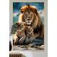 Quadro Decorativo Fam�lia de Le�es Repousando em Rocha com Belo P�r-do-Sol de Fundo