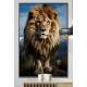 Quadro Decorativo Le�o o Rei da Selva Guardi�o da Natureza