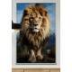 Quadro Decorativo Le�o o Rei da Selva Guardi�o da Natureza