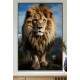 Quadro Decorativo Le�o o Rei da Selva Guardi�o da Natureza