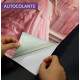 Adesivo de Porta Cole��o Princesa Vestido Rosa