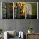 Kit 3 Quadros Decorativos Fam�lia Leonina na Selva