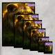 Kit 3 Quadros Decorativos Fam�lia Leonina na Selva