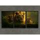 Kit 3 Quadros Decorativos Fam�lia Leonina na Selva