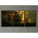 Kit 3 Quadros Decorativos Fam�lia Leonina na Selva