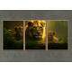 Kit 3 Quadros Decorativos Fam�lia Leonina na Selva