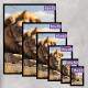 Quadros Decorativos Le�o de Jud� - Kit 3 Unidades