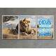 Quadros Decorativos Le�o de Jud� - Kit 3 Unidades