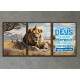 Quadros Decorativos Le�o de Jud� - Kit 3 Unidades