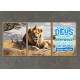 Quadros Decorativos Le�o de Jud� - Kit 3 Unidades