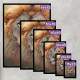 Kit 3 Quadros Decorativos Le�o em Meio as Flores Na Primavera