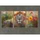Kit 3 Quadros Decorativos Le�o em Meio as Flores Na Primavera