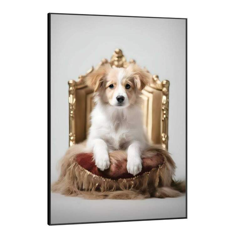 Quadro Decorativos de Animais Cachorro em Caminha Luxuosa