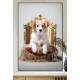 Quadro Decorativos de Animais Cachorro em Caminha Luxuosa